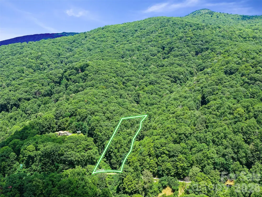 0000 Deep Gap Road Burnsville, NC 28714