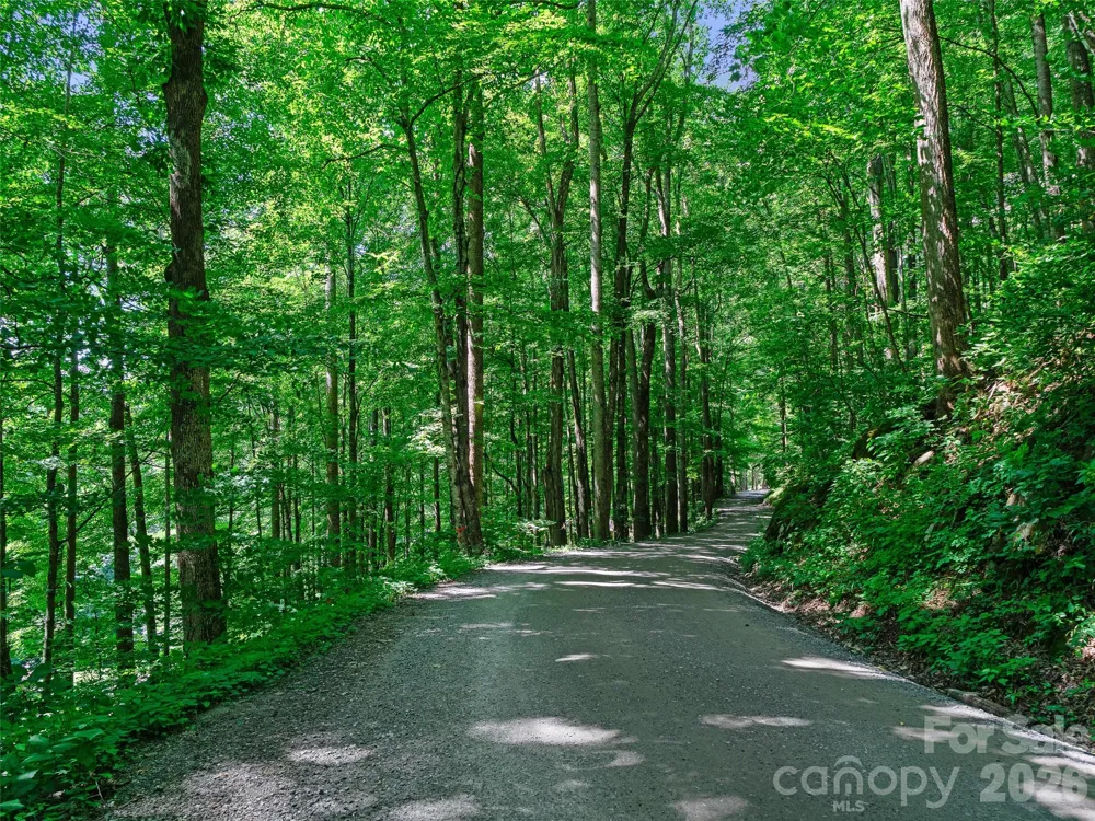 0000 Deep Gap Road Burnsville, NC 28714