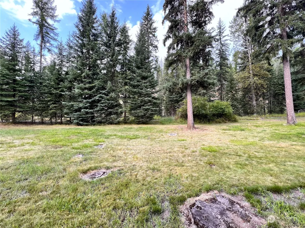 5 Vista Drive Republic, WA 99166