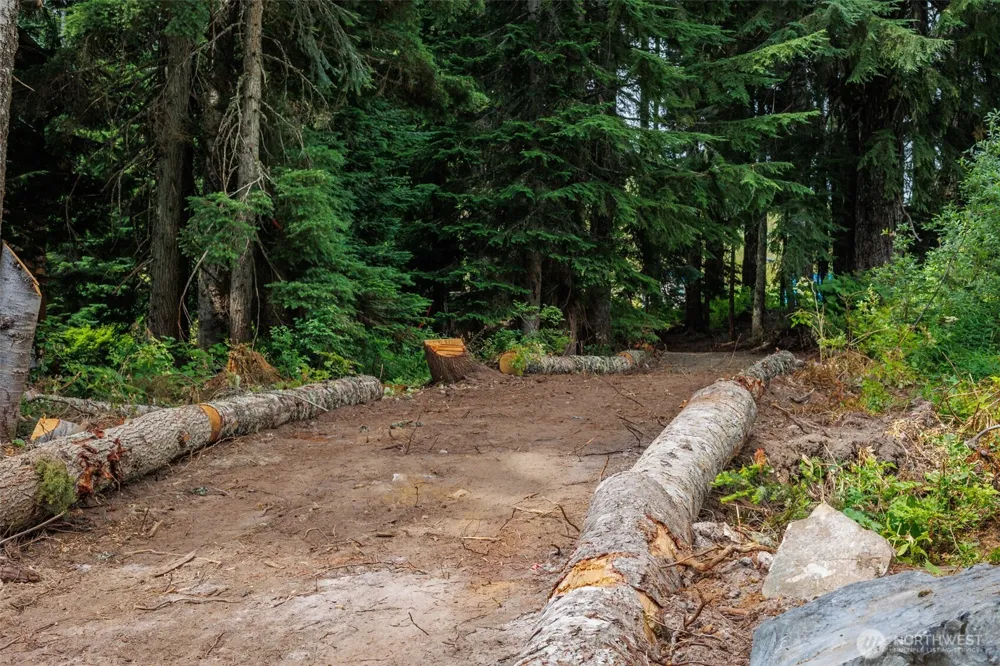 3 C&D Kendall Peak Way Snoqualmie Pass, WA 98068