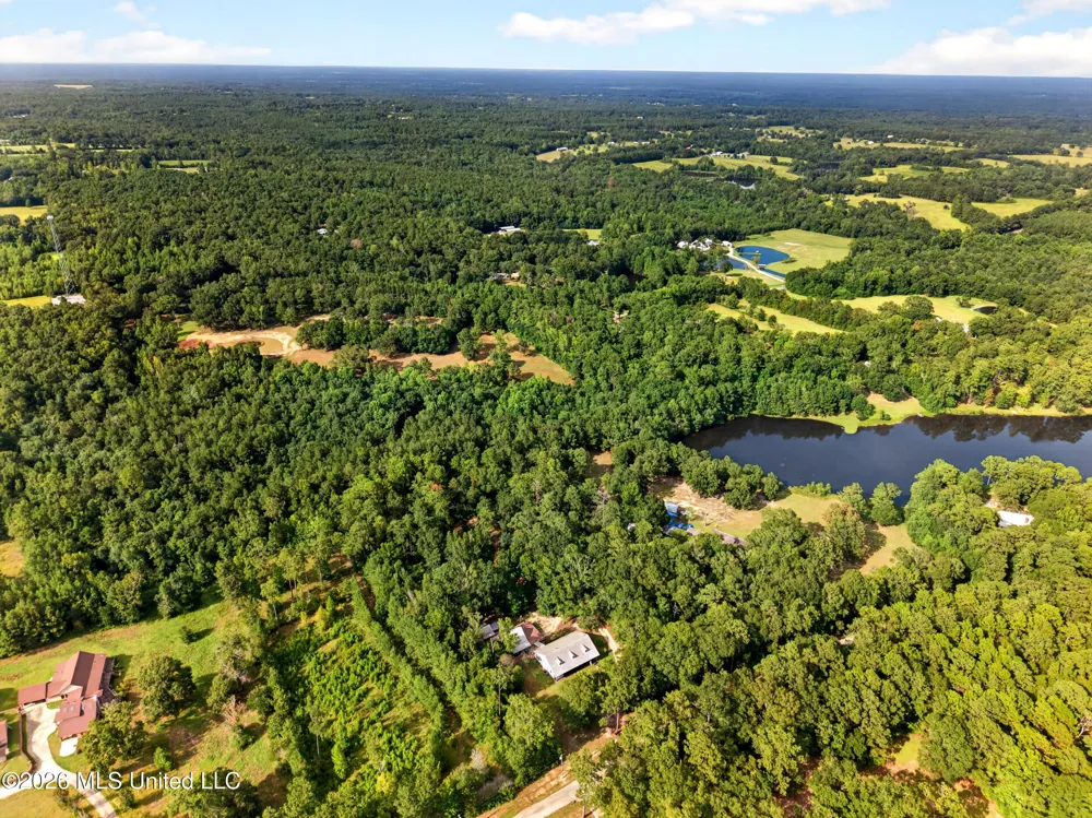 61 Pinetucky Road Carriere, MS 39426
