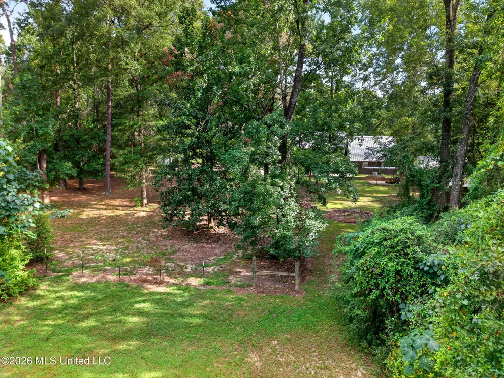 61 Pinetucky Road Carriere, MS 39426