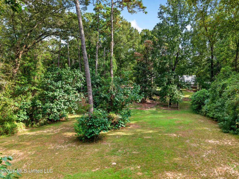 61 Pinetucky Road Carriere, MS 39426