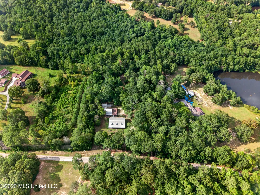61 Pinetucky Road Carriere, MS 39426
