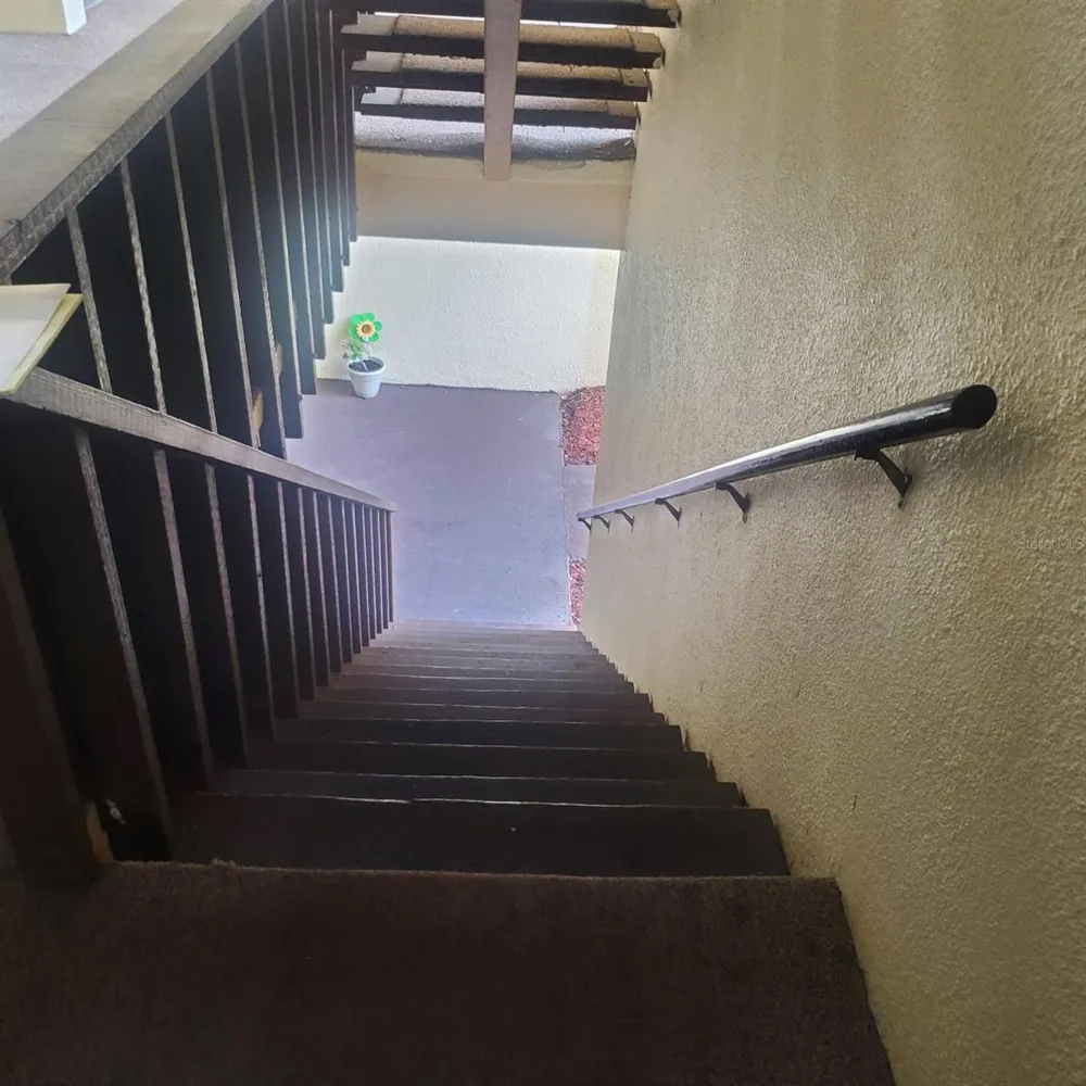 3525 E FORT KING STREET #244 ocala, FL 34470
