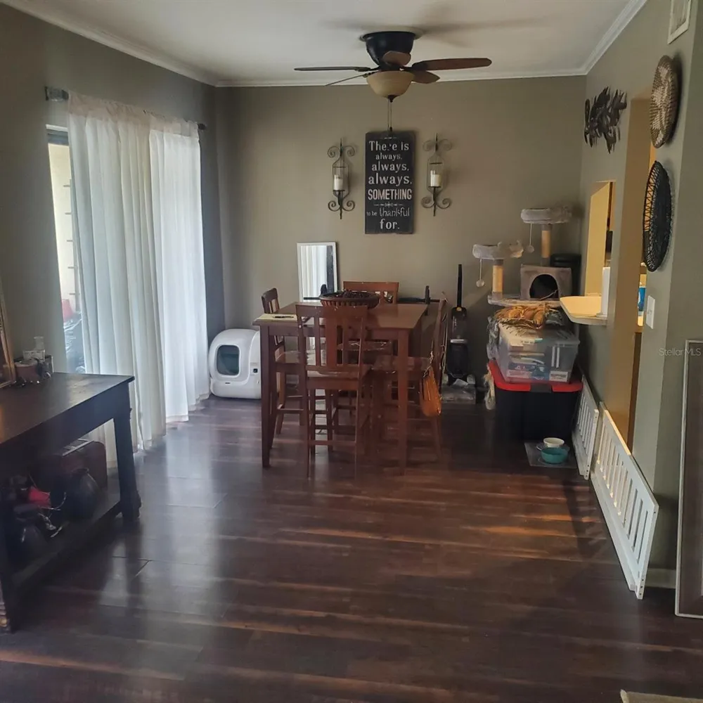 3525 E FORT KING STREET #244 ocala, FL 34470