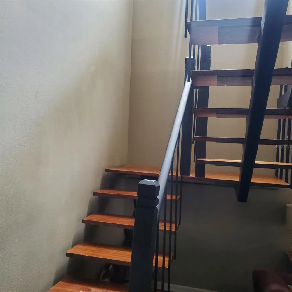 3525 E FORT KING STREET #244 ocala, FL 34470