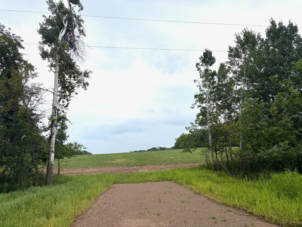 TBD (L2B1) Flamingo Street NW Isanti, MN 55040