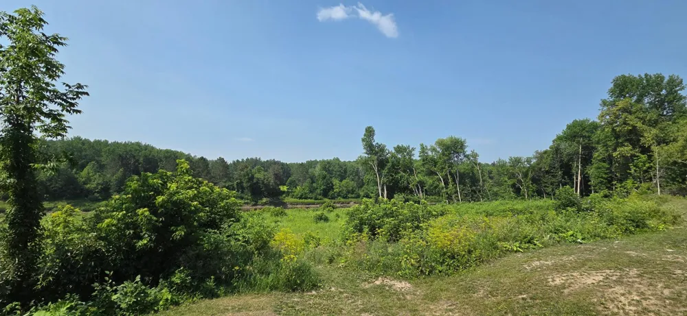 5773 Town Road 237 Littlefork, MN 56653