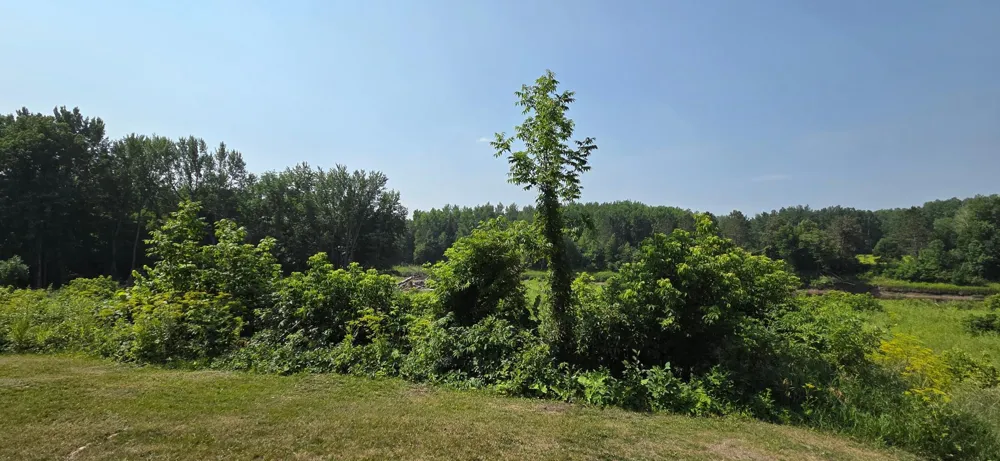 5773 Town Road 237 Littlefork, MN 56653