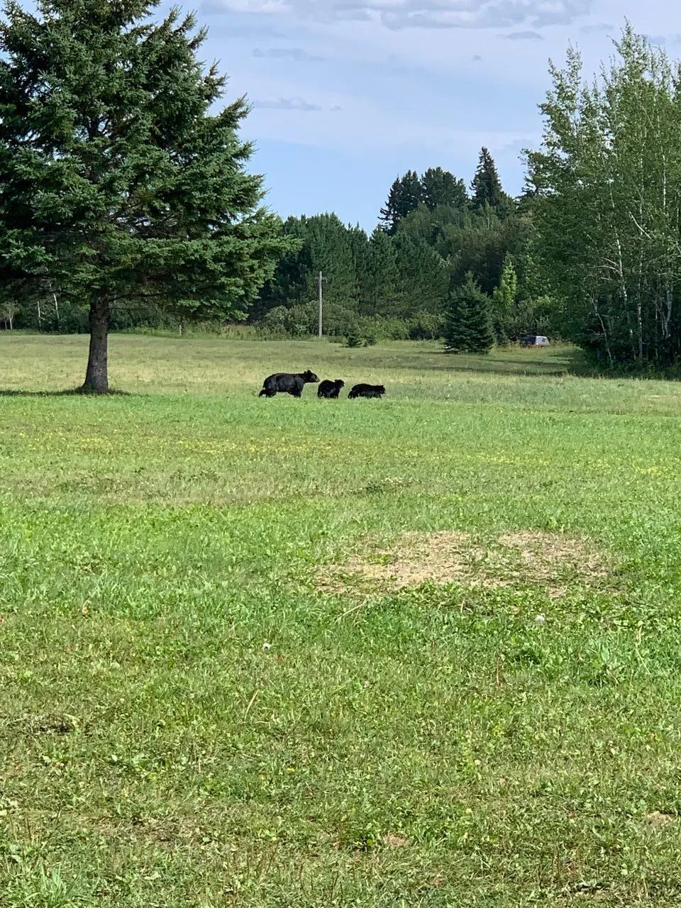 5773 Town Road 237 Littlefork, MN 56653