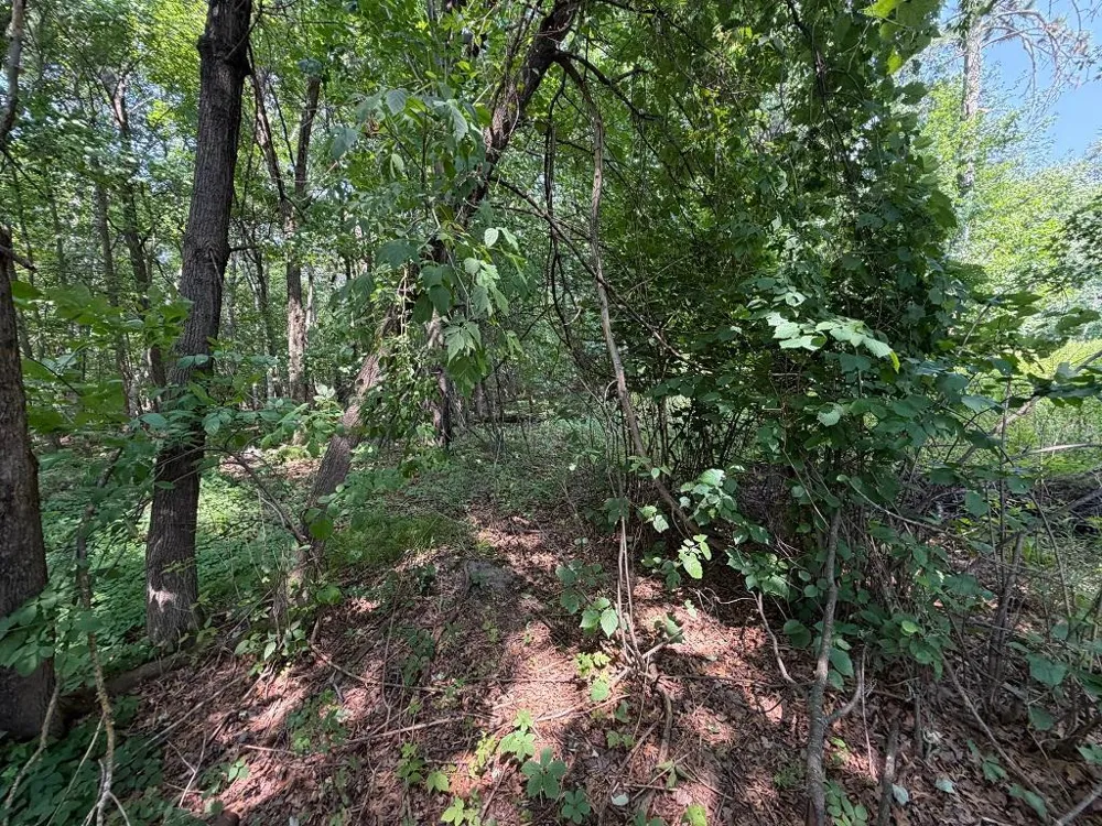 21920 County 2 Nevis, MN 56467