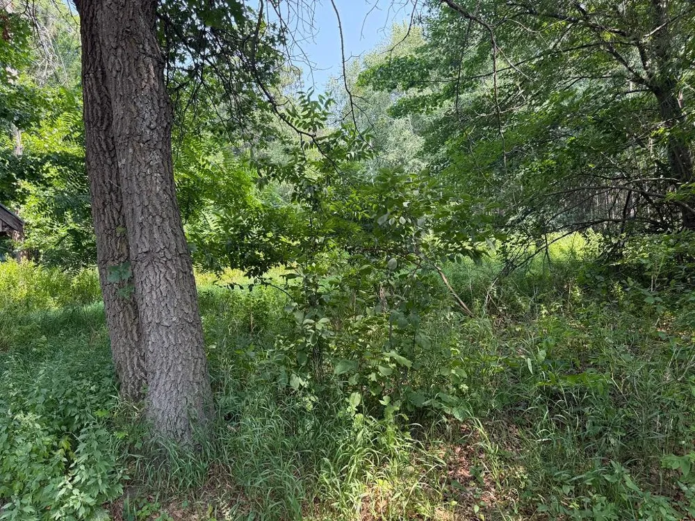 21920 County 2 Nevis, MN 56467