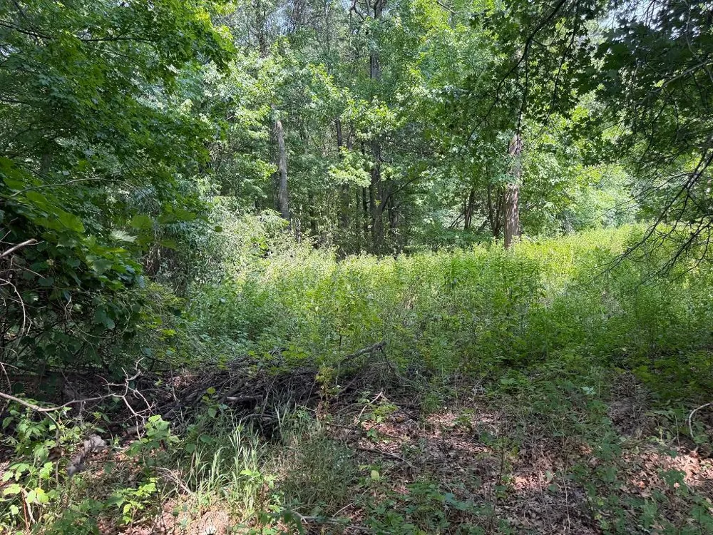 21920 County 2 Nevis, MN 56467