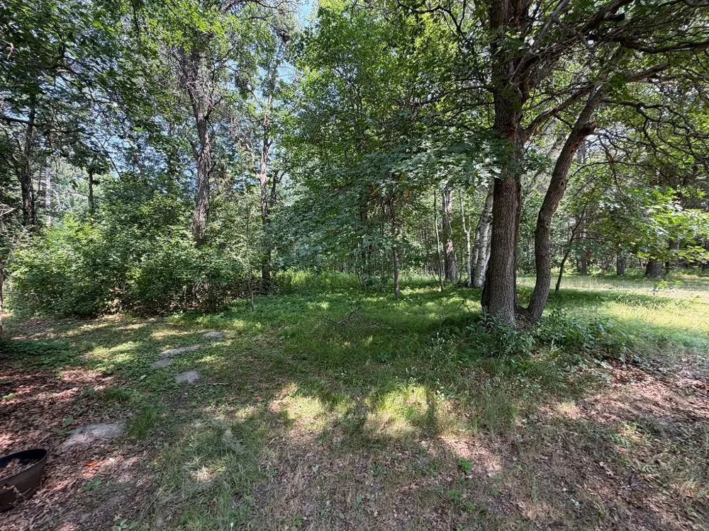 21920 County 2 Nevis, MN 56467