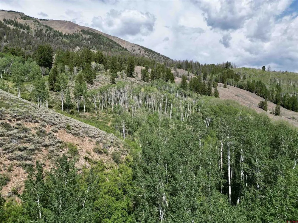189 Taloga Road Gunnison, CO 81230