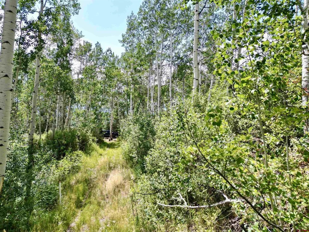 189 Taloga Road Gunnison, CO 81230