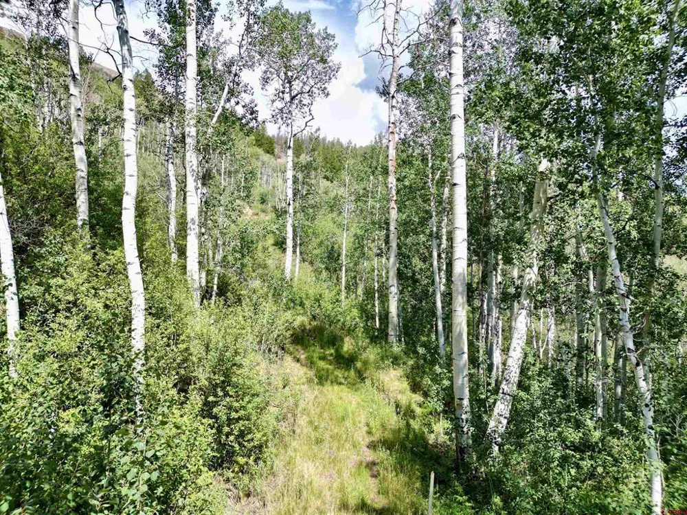 189 Taloga Road Gunnison, CO 81230