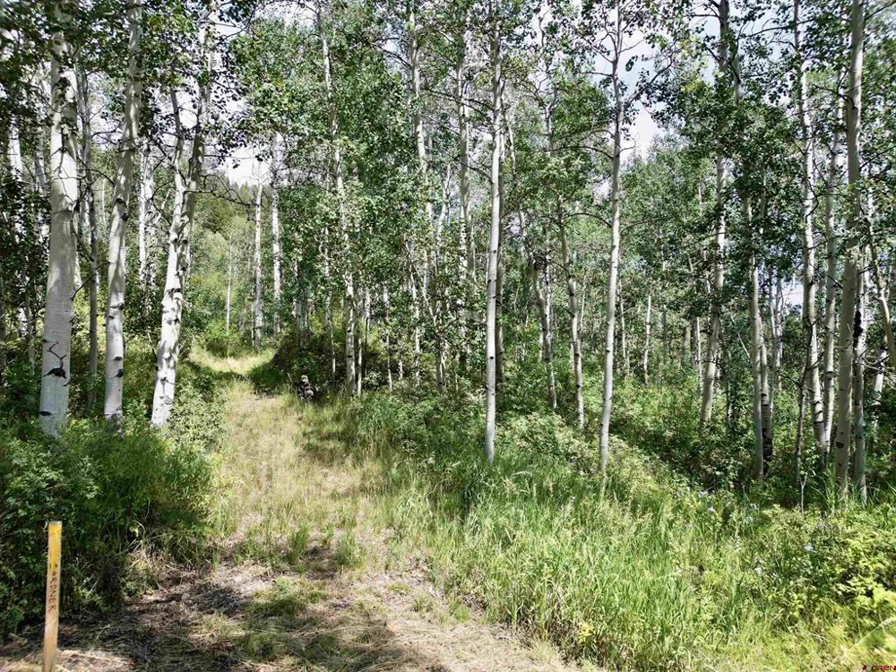 189 Taloga Road Gunnison, CO 81230