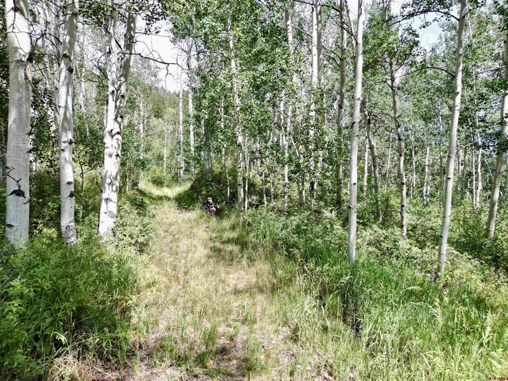 189 Taloga Road Gunnison, CO 81230