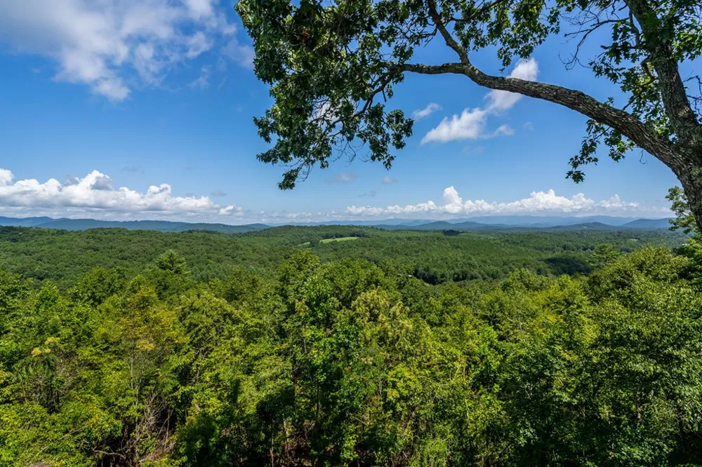 334 Hawksclaw Trail Morganton, GA 30560