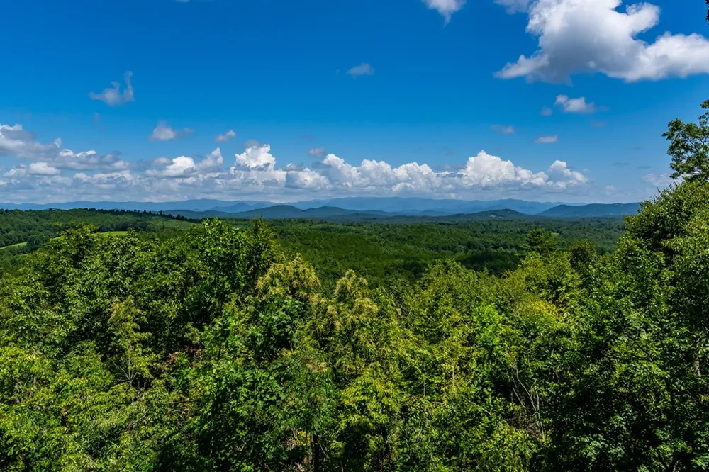 334 Hawksclaw Trail Morganton, GA 30560
