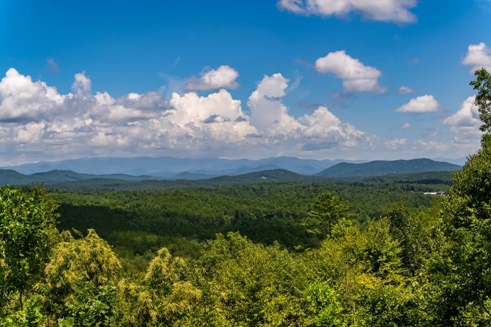 334 Hawksclaw Trail Morganton, GA 30560