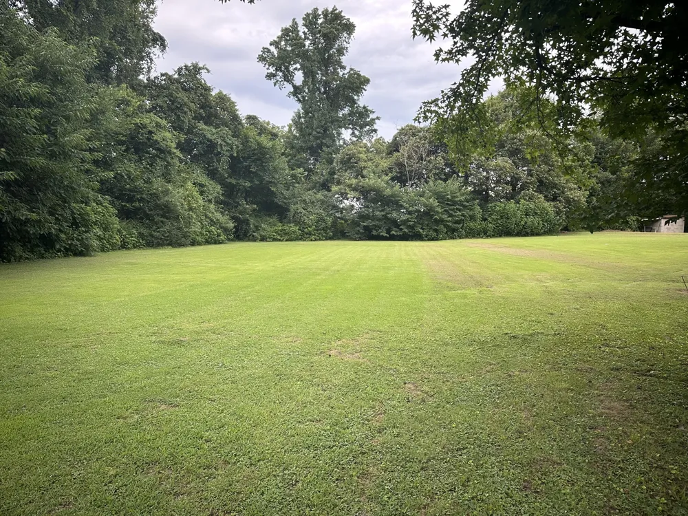 15 Deborah Dr Jackson, TN 38305