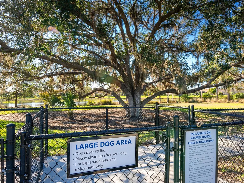 5365 SALCANO STREET Sarasota, FL 34238