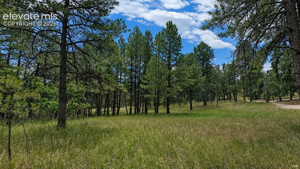 00 Westwood Road Colorado Springs, CO 80919
