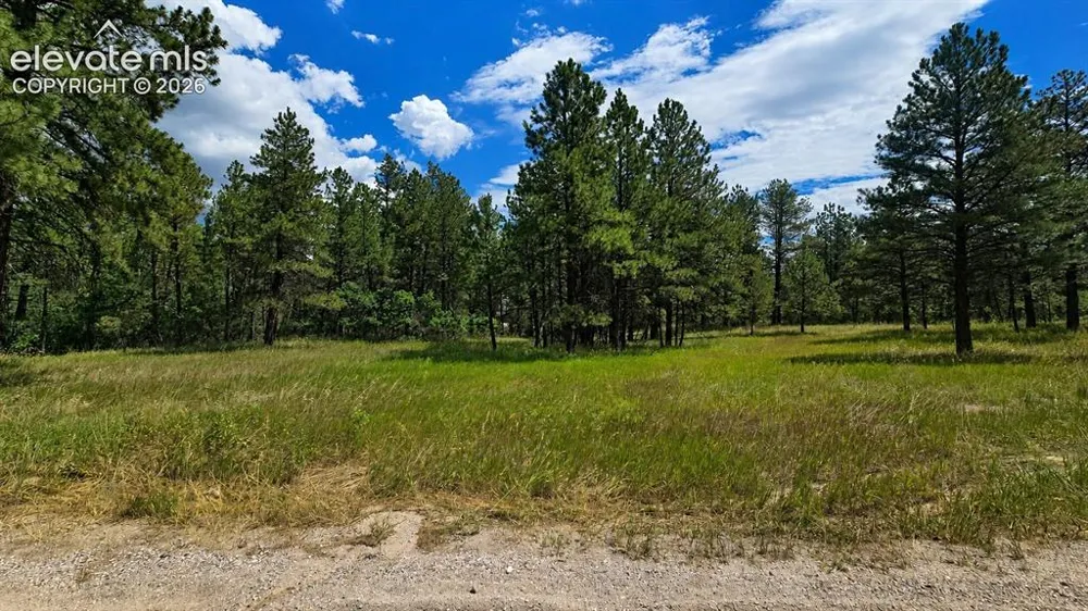 00 Westwood Road Colorado Springs, CO 80919