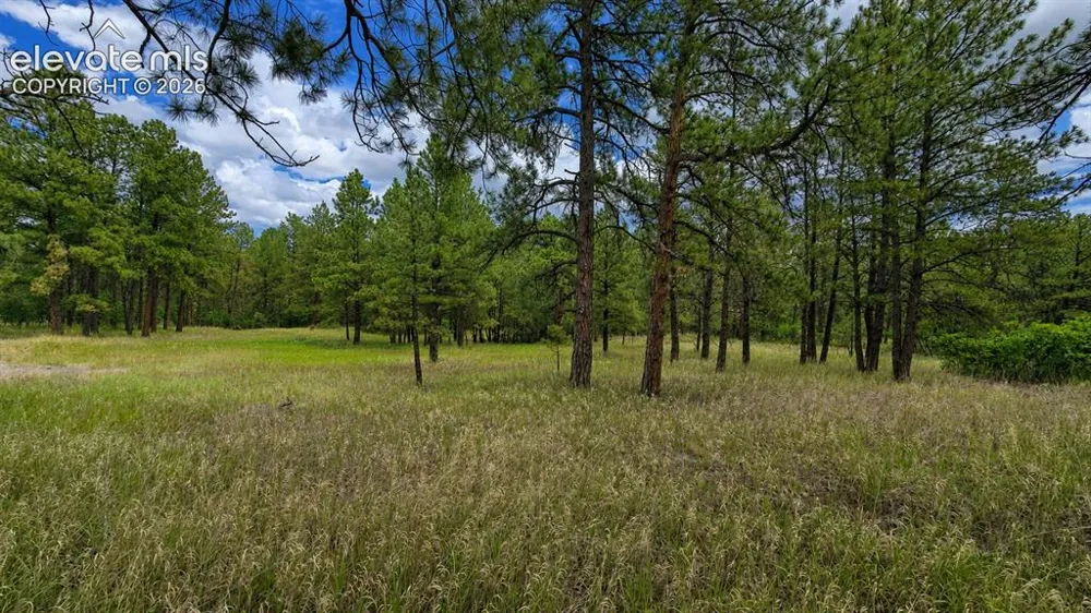 00 Westwood Road Colorado Springs, CO 80919