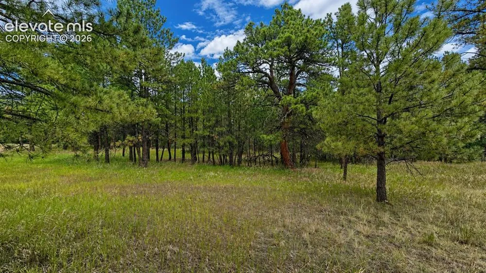 00 Westwood Road Colorado Springs, CO 80919