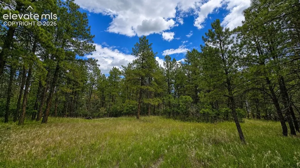 00 Westwood Road Colorado Springs, CO 80919