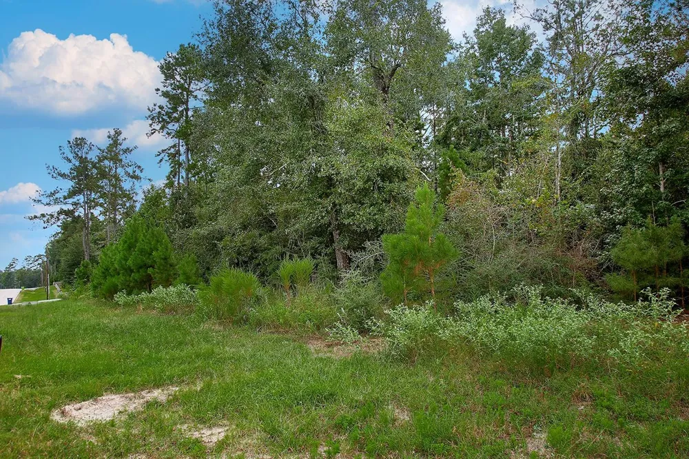 Sky Oak Lane Huntsville, TX 77340