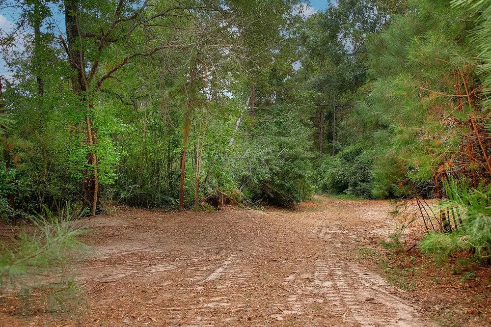 Sky Oak Lane Huntsville, TX 77340