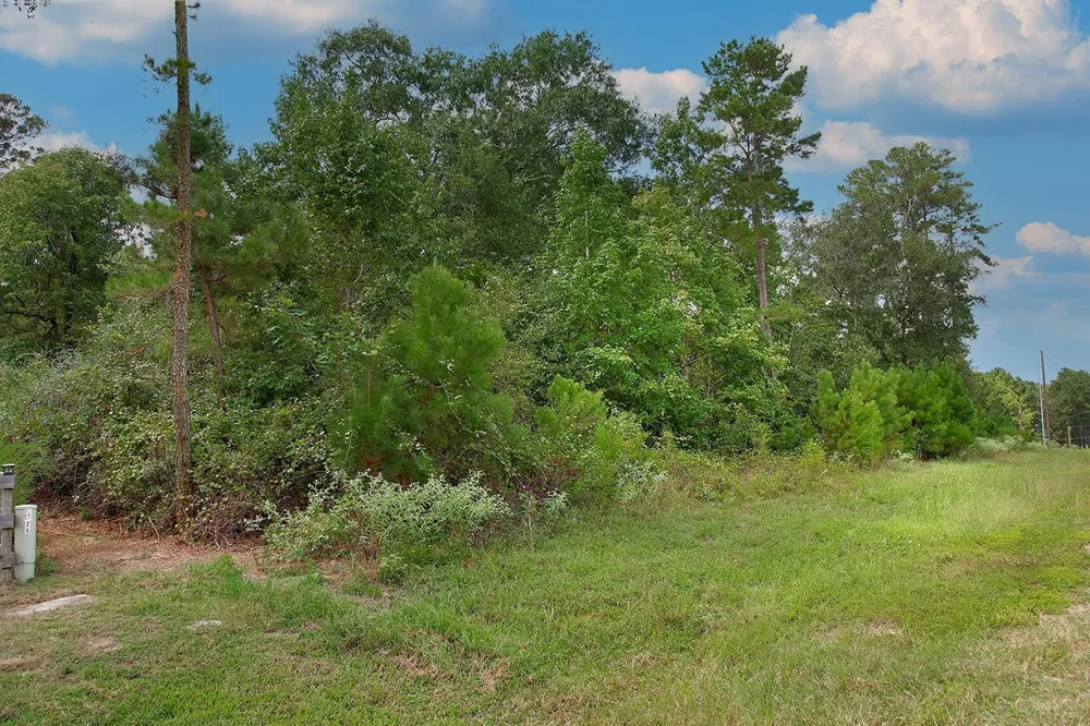 Sky Oak Lane Huntsville, TX 77340