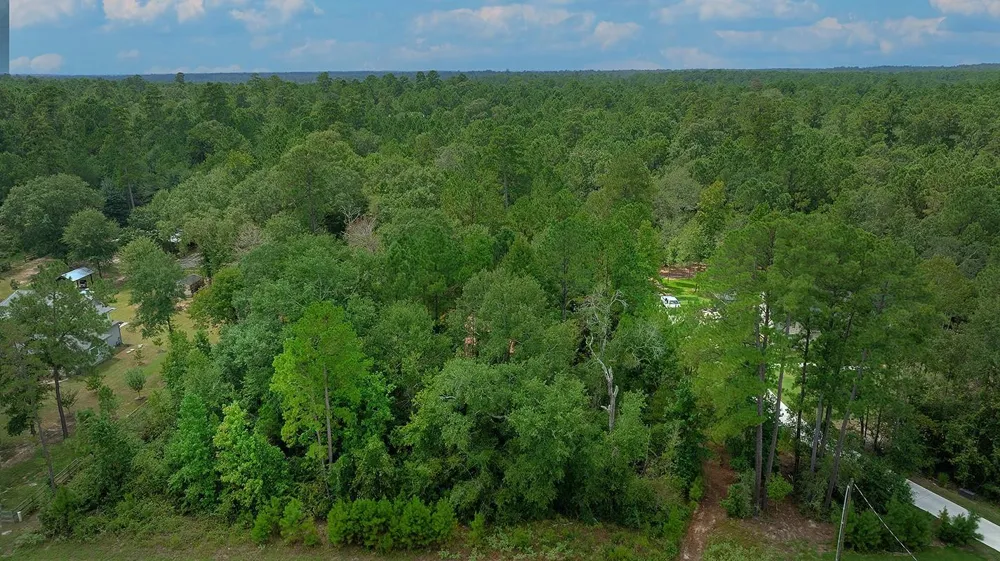 Sky Oak Lane Huntsville, TX 77340