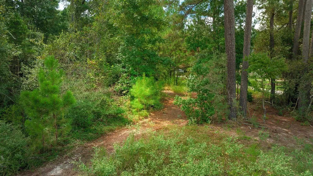 Sky Oak Lane Huntsville, TX 77340