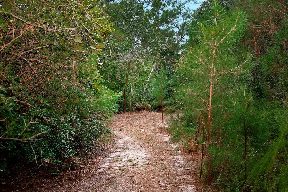 Sky Oak Lane Huntsville, TX 77340