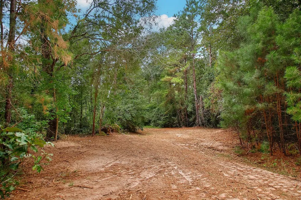 Sky Oak Lane Huntsville, TX 77340