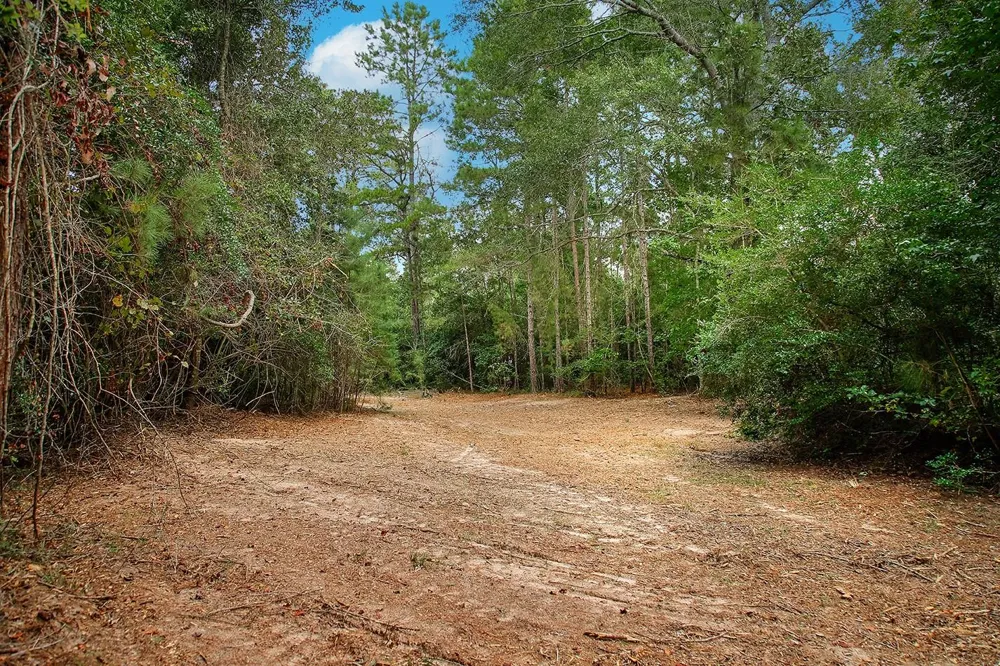 Sky Oak Lane Huntsville, TX 77340