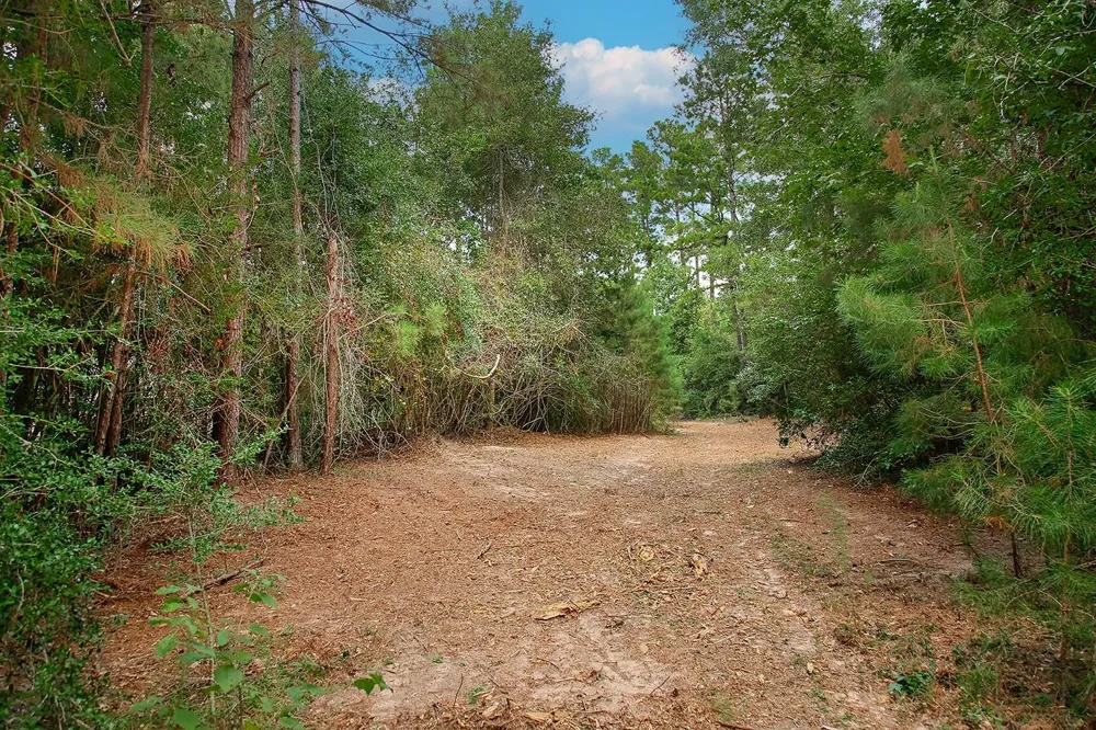 Sky Oak Lane Huntsville, TX 77340