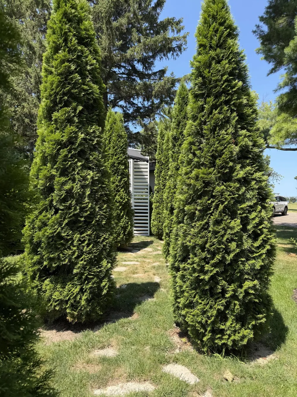 2390 Sycamore Path St. Joseph, MI 49085