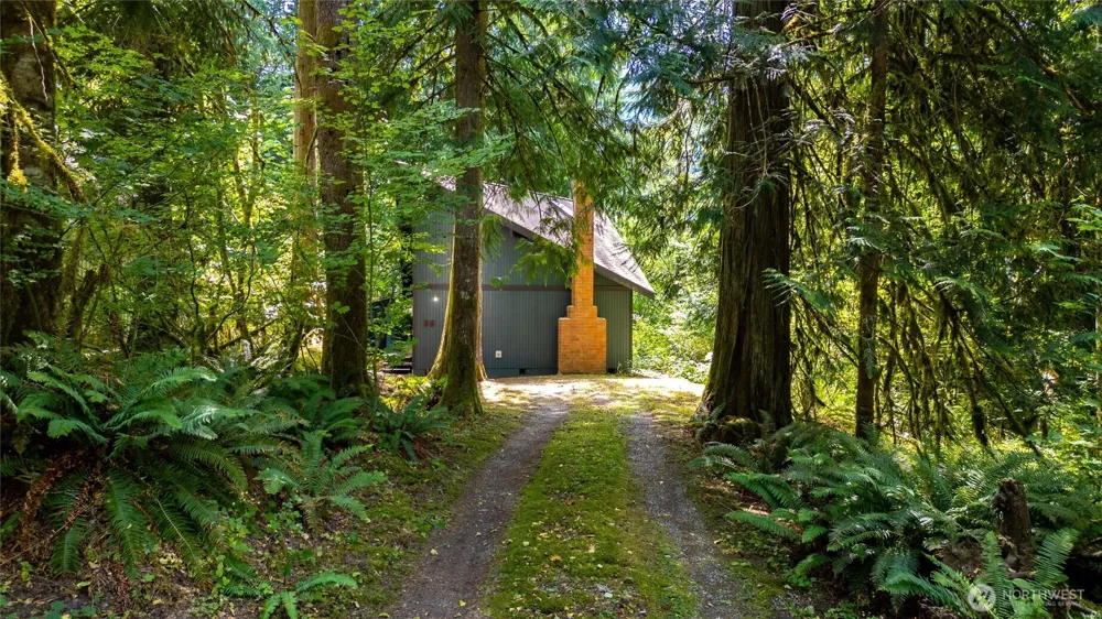 19059 Glacier Rim Drive Glacier, WA 98244