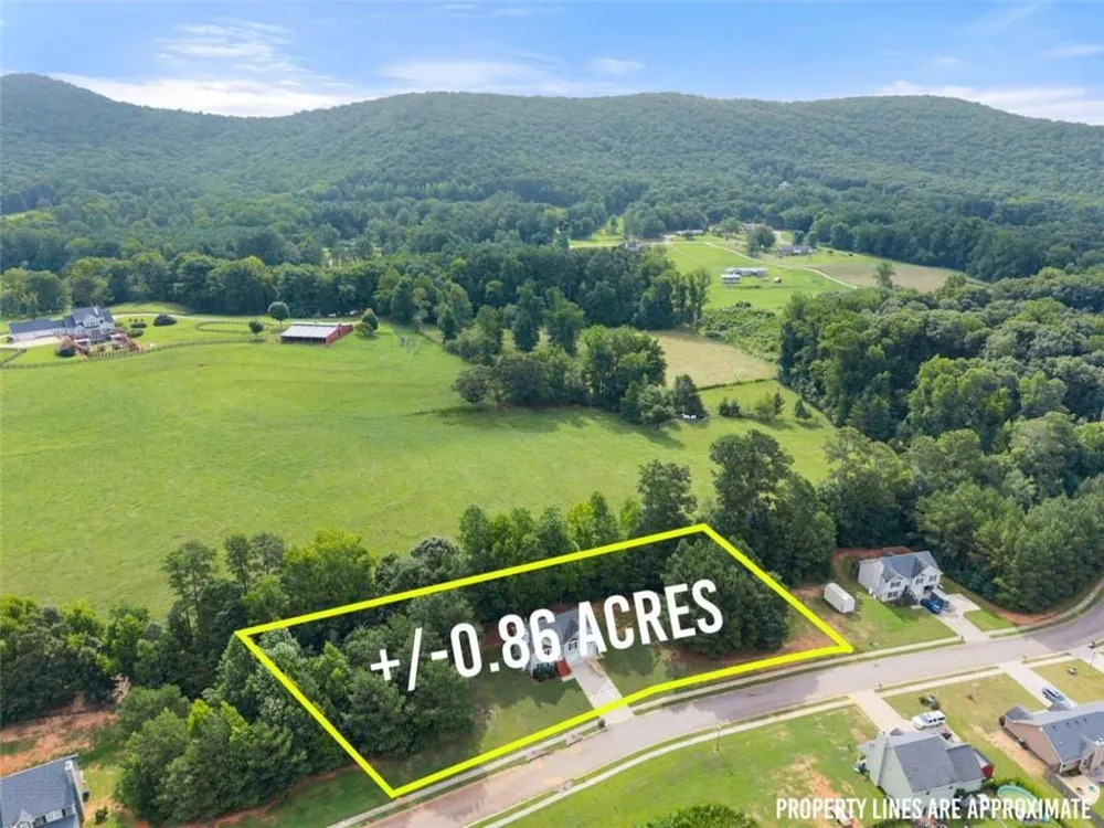 8834 Shallow Creek Trail Clermont, GA 30527