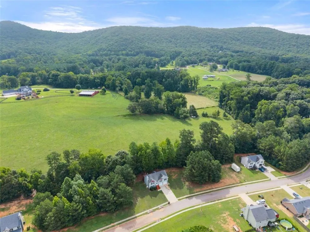 8834 Shallow Creek Trail Clermont, GA 30527