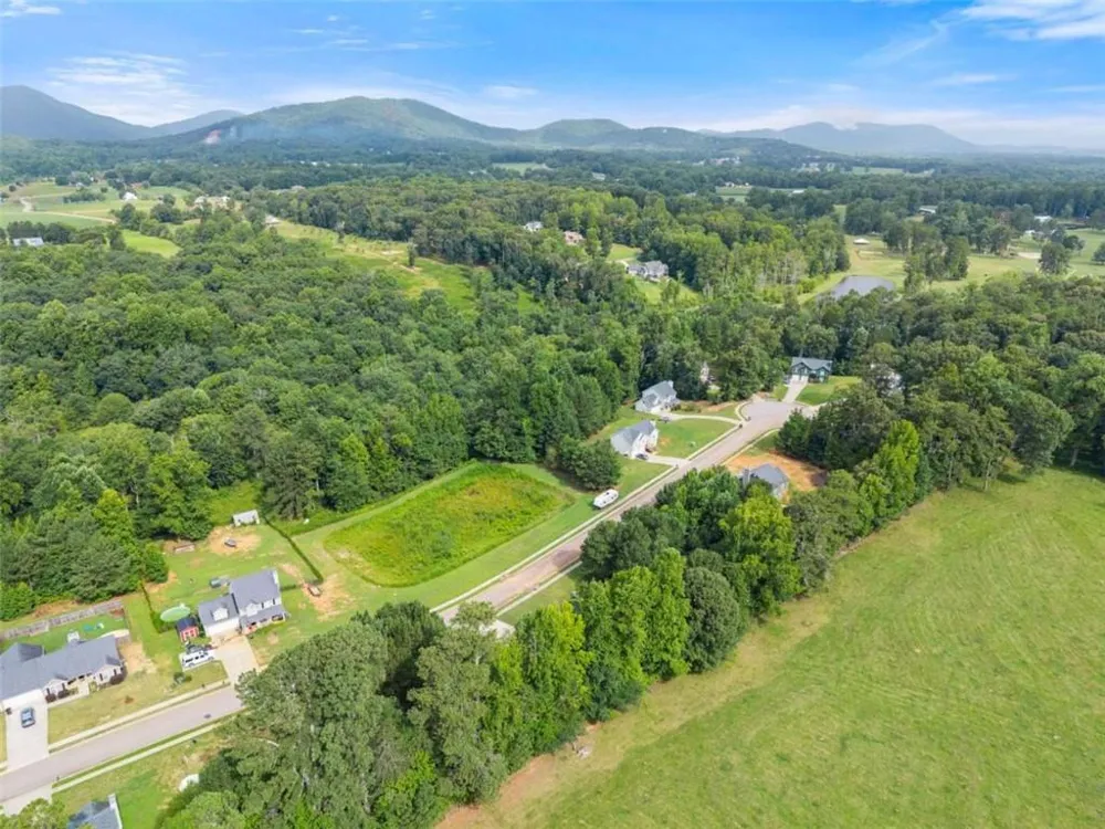 8834 Shallow Creek Trail Clermont, GA 30527
