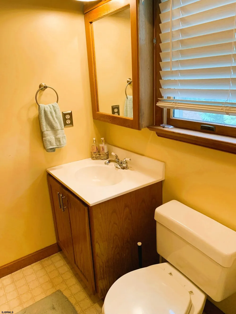 29 Birdsall Dr Upper Deerfield Township, NJ 08302