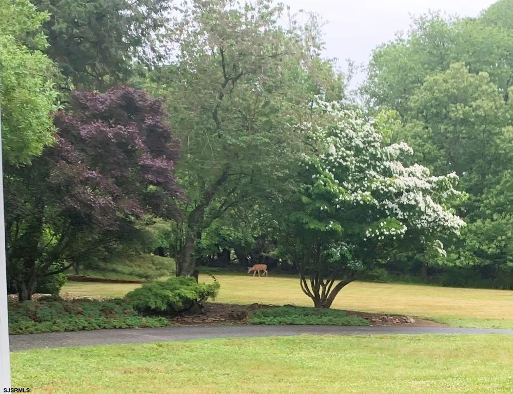 29 Birdsall Dr Upper Deerfield Township, NJ 08302